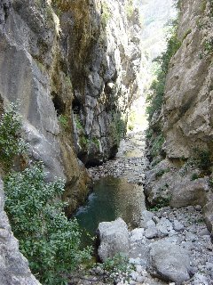Cercanias de Ca�n