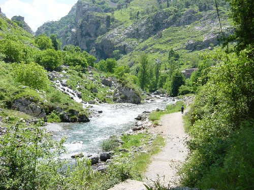 R�o Bolugar aportando sus aguas al Cares. Ca�n.