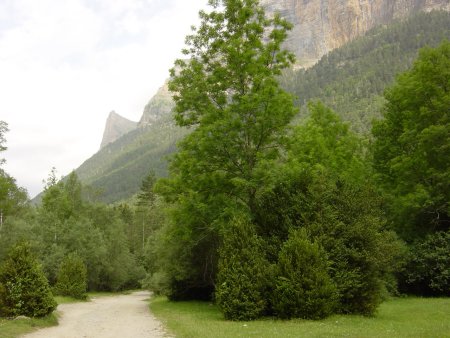 Camino de Soaso con el Tozal del Mallo al fondo