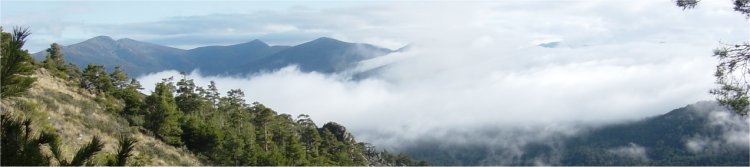 Pasapan, Pe�a del Oso, La Pinareja, Mont�n de Trigo, Cerro del Aguila