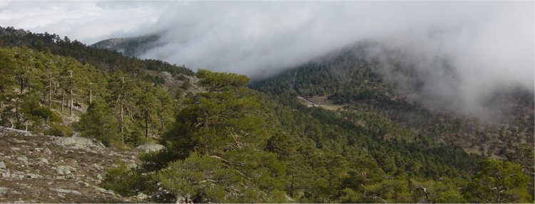 Collado Del Hornillo