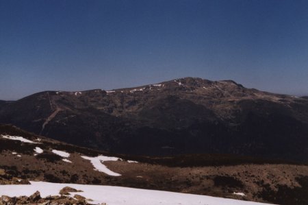 Pealara