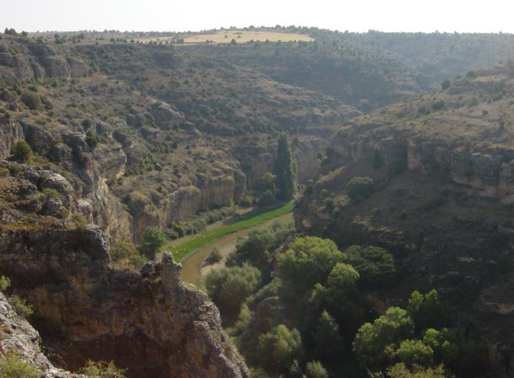 Hoces del Ro Duratn