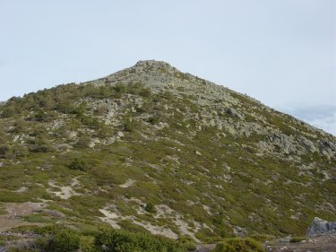 Montn de Trigo