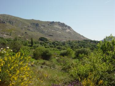 Cancho de El Mondalindo