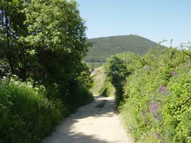 Camino acceso al pueblo y al fondo Cabeza Arcón