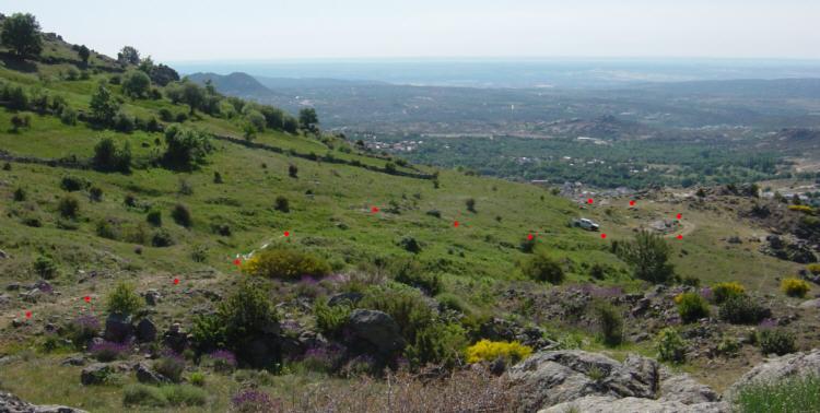 Sierra de La Cabrera,  Bustarviejo, Fuente Milano, El Berrocal.