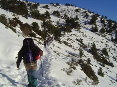 Sendero a La LAguna de Pealara