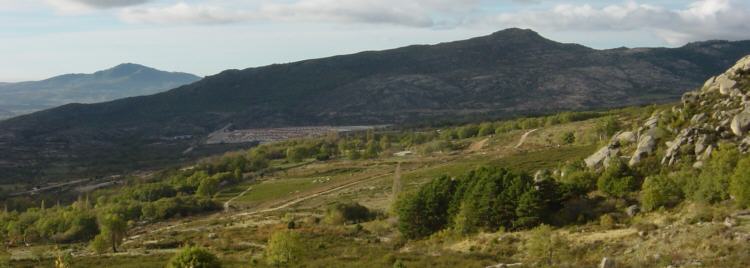 Cerro Del Pendn