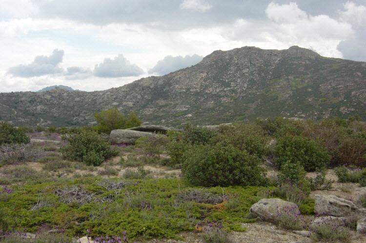 Cerro El Pendn