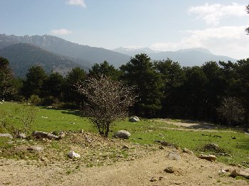 Pradera de los campamentos ( Tami�n conocida como del Hornillo)