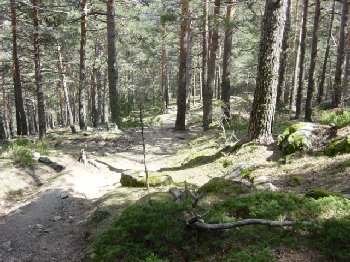 Sendero desde los campamentos a la Calle Alta, marcado con puntos rojos