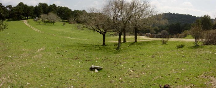 Pradera e instalaciones ganaderas