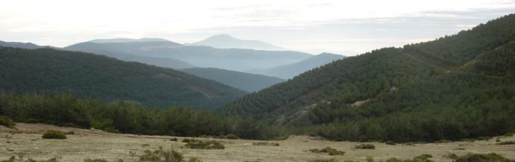 Collado de San Benito