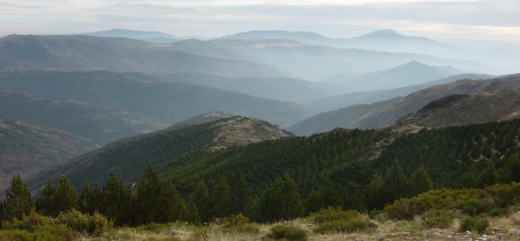 Sierra de Aylln. El Ocejon al fondo