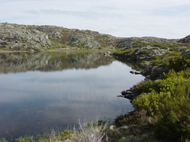 Laguna Pay�n
