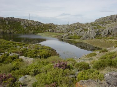 Laguna Pay�n
