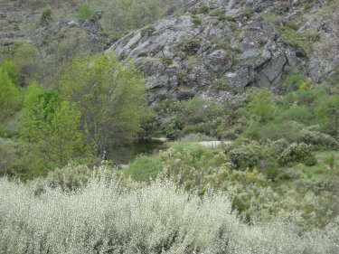 Poza en R�o Segundera