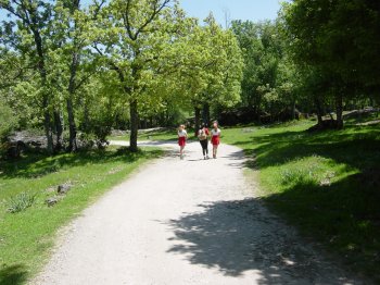 Camino a la finca El Ermitao de Abajo