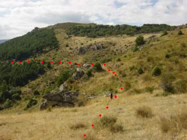 la ruta continua por media ladera atravesando el pinar.